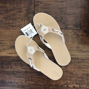 new! cute & comfy SPERRY ladies sandal flip flops